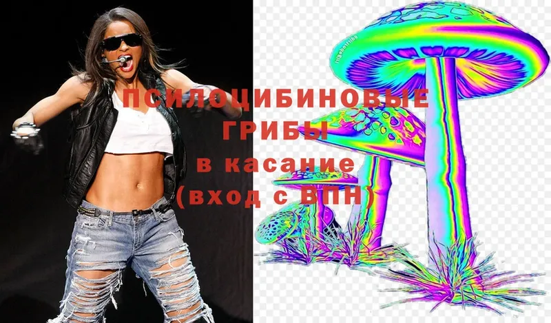 Псилоцибиновые грибы Magic Shrooms  Боровск 